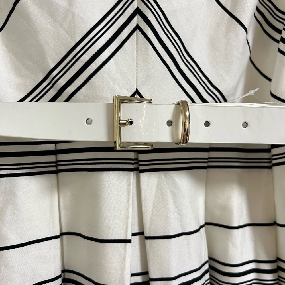 Karl Lagerfeld Paris Chevron Striped Belted Midi Dress Black & White Size 6 NWT - Picture 5 of 14
